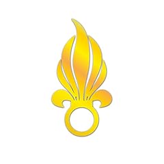 Fremdenlegion flamme légion gebraucht kaufen  Wird an jeden Ort in Deutschland