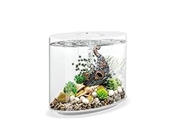 Acuario biorb loop for sale  Delivered anywhere in USA 