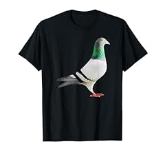 Racing homer pigeon for sale  Delivered anywhere in USA 