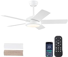Chesur ceiling fans for sale  Delivered anywhere in USA 