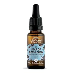 Biofloral star bethlehem usato  Spedito ovunque in Italia 