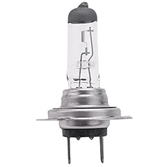 Lampadina per auto usato  Spedito ovunque in Italia 