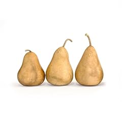 Dried martin gourds for sale  Delivered anywhere in USA 