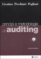 Principi metodologie auditing usato  Spedito ovunque in Italia 