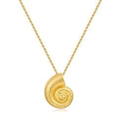 Classyzint gold conch for sale  Delivered anywhere in USA 