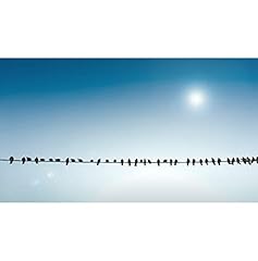 Birds cabie text d'occasion  Livré partout en France