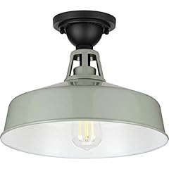 Progress lighting cedar for sale  Delivered anywhere in USA 