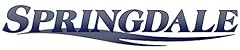 Keystone springdale trailer for sale  Delivered anywhere in USA 