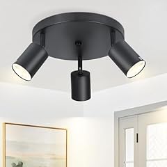 Zmh led deckenleuchte gebraucht kaufen  Wird an jeden Ort in Deutschland
