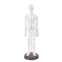 Acupuncture model 20.47in for sale  Delivered anywhere in UK