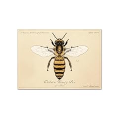 Western honey bee for sale  Delivered anywhere in USA 