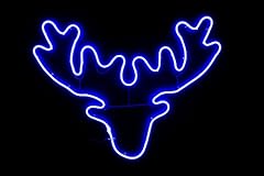 Shatchi stag head for sale  Delivered anywhere in UK