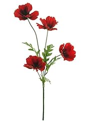 Wild meadow poppy for sale  Delivered anywhere in UK