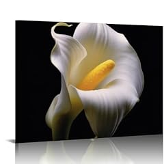 Wivolo flower anne for sale  Delivered anywhere in USA 