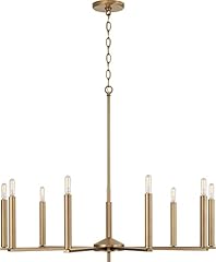 Homeplace lighting 448691ad for sale  Delivered anywhere in USA 