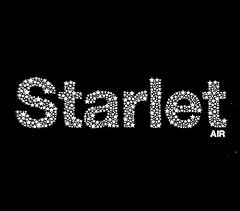 Starlet import d'occasion  Livré partout en France