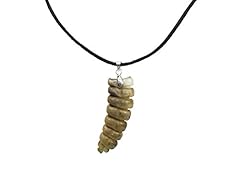 Real rattlesnake rattle for sale  Delivered anywhere in USA 