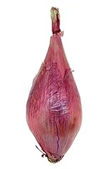 Germination Seeds: 6300Mg Long Red Florence Onion Seeds ~ Uncommon Italian Heirloom ~ Mild Allium usato  Spedito ovunque in Italia 