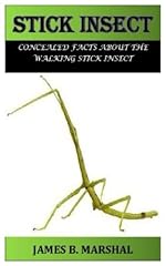 Stick insect concealed for sale  Delivered anywhere in Ireland