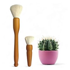 Southside plant cactus for sale  Delivered anywhere in USA 