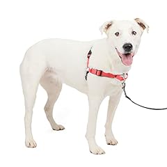 Petsafe easy walk for sale  Delivered anywhere in USA 