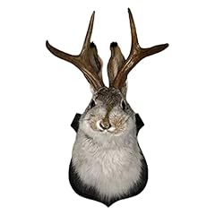 Puge jackalope mount for sale  Delivered anywhere in USA 