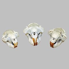 Generic glacier wear for sale  Delivered anywhere in USA 