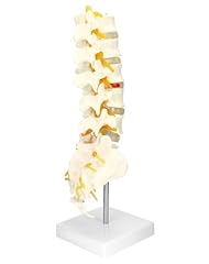 Qwork life size for sale  Delivered anywhere in USA 