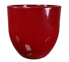 Vaso shine rosso usato  Spedito ovunque in Italia 