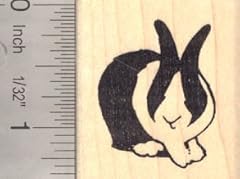Dutch bunny rabbit for sale  Delivered anywhere in USA 