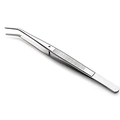 Stainless steel life for sale  Delivered anywhere in USA 