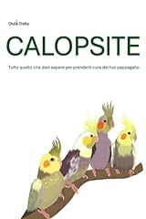 Calopsite tutto quello usato  Spedito ovunque in Italia 