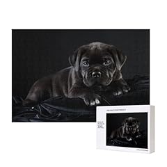 Cane corso pets usato  Spedito ovunque in Italia 