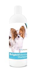 Healthy breeds papillon for sale  Delivered anywhere in USA 