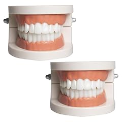 Faux dentier modèle d'occasion  Livré partout en France