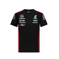 Mercedes amg petronas gebraucht kaufen  Wird an jeden Ort in Deutschland