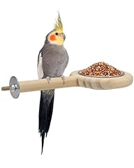 Katumo bird perch for sale  Delivered anywhere in USA 