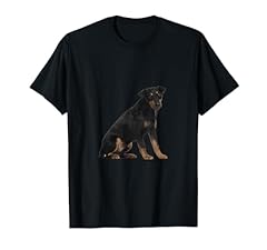 Cute deutscher jagdterrier usato  Spedito ovunque in Italia 