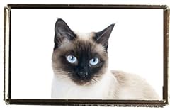 Siamese cat pet for sale  Delivered anywhere in UK