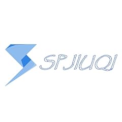Spjiuqi 12v fuel for sale  Delivered anywhere in UK