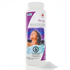 Canadian spa co. usato  Spedito ovunque in Italia 