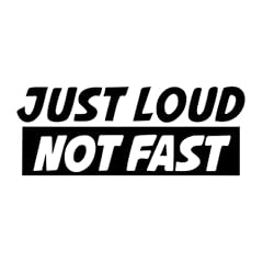 Not fast just gebraucht kaufen  Wird an jeden Ort in Deutschland