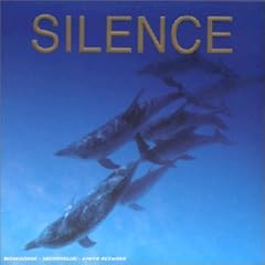Silence flûte d'occasion  Livré partout en France