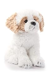 Petting zoo havanese for sale  Delivered anywhere in USA 