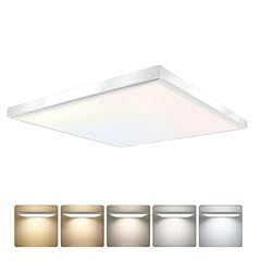 Lite 4200 lumen for sale  Delivered anywhere in USA 