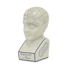 Benjara inch phrenology for sale  Delivered anywhere in USA 