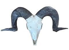 Sheep skull wall for sale  Delivered anywhere in UK