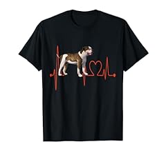 Bulldog americano cane usato  Spedito ovunque in Italia 