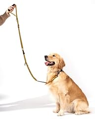 Shock absorbing bungee for sale  Delivered anywhere in USA 