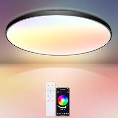 Iegled led deckenleuchte gebraucht kaufen  Wird an jeden Ort in Deutschland